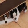 images/B_Wurf/7_Woche/Best-Emil-1.jpg