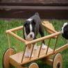 images/B_Wurf/7_Woche/Billie_Jo-4.jpg