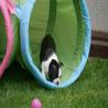 images/B_Wurf/7_Woche/Schnappschuesse-4.jpg