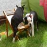 images/B_Wurf/7_Woche/Schnappschuesse-8.jpg