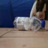 images/E_Wurf/Welpen/7_Woche/Murphy_6.jpg