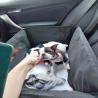 images/F_Wurf/Welpenbilder/IMG-20220911-WA0008.jpg