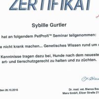 2016_2610Pet_Gen_Wissen_Sybille